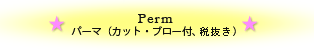 Perm
パーマ（カット、ブロー付、税込み）